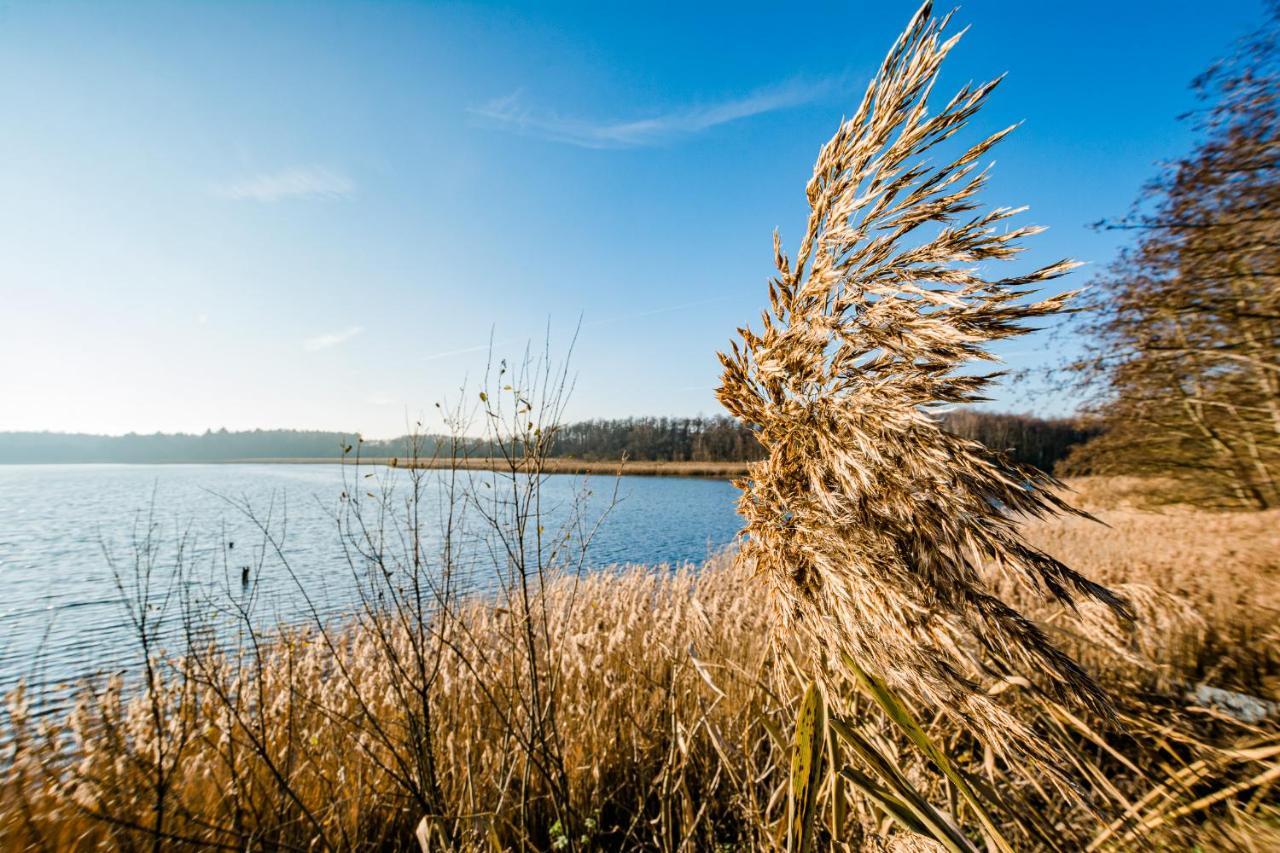 5 Sterne Ferienhaus direkt am See mit Sauna-Kamin-Garten Krakow am See Exterior foto